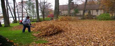 Leaf Raking
